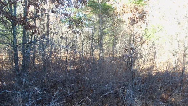 $64,900 | Lot 4 McLain Road, Grantsburg, WI 54840