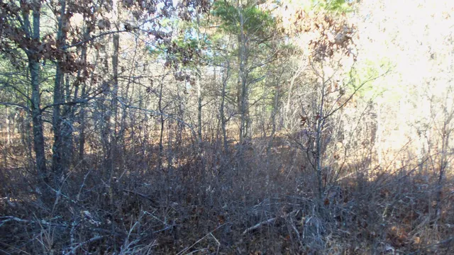 $64,900 | Lot 4 McLain Road, Grantsburg, WI 54840