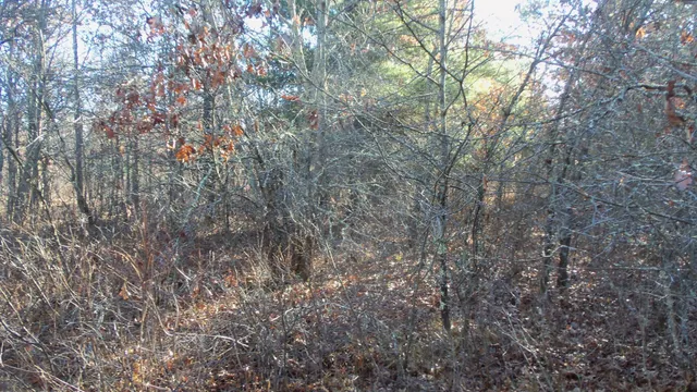 $64,900 | Lot 4 McLain Road, Grantsburg, WI 54840