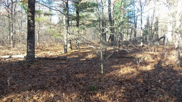 $64,900 | Lot 4 McLain Road, Grantsburg, WI 54840