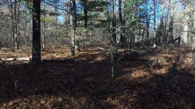 $64,900 | Lot 4 McLain Road, Grantsburg, WI 54840