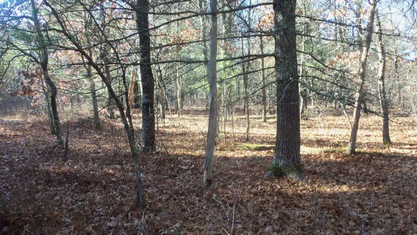 $64,900 | Lot 4 McLain Road, Grantsburg, WI 54840