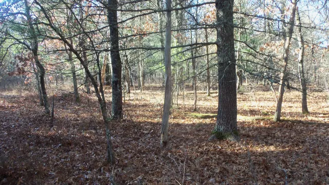 $64,900 | Lot 4 McLain Road, Grantsburg, WI 54840