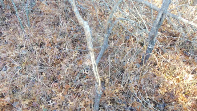 $64,900 | Lot 4 McLain Road, Grantsburg, WI 54840