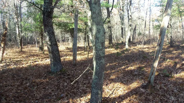 $64,900 | Lot 4 McLain Road, Grantsburg, WI 54840