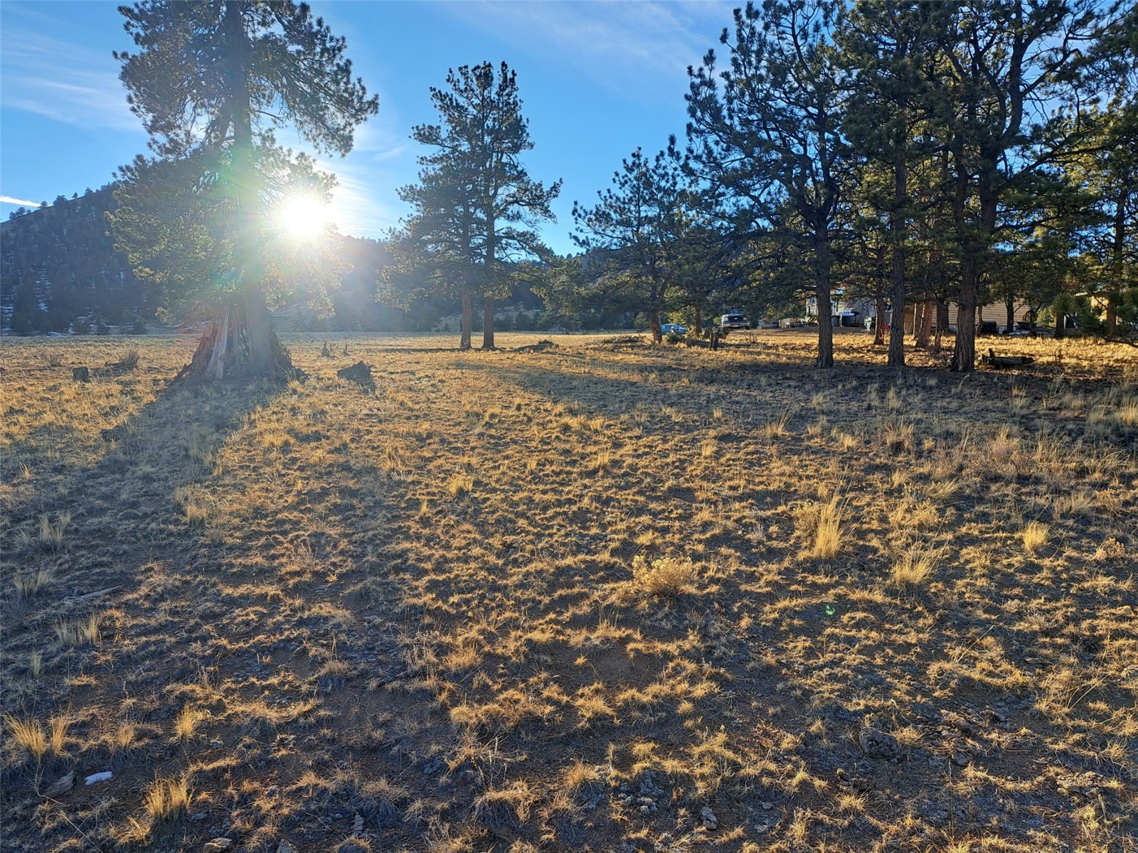 186 Boulder Road Hartsel, CO 80449 - Photo 9 of 33 Gallery Image 9