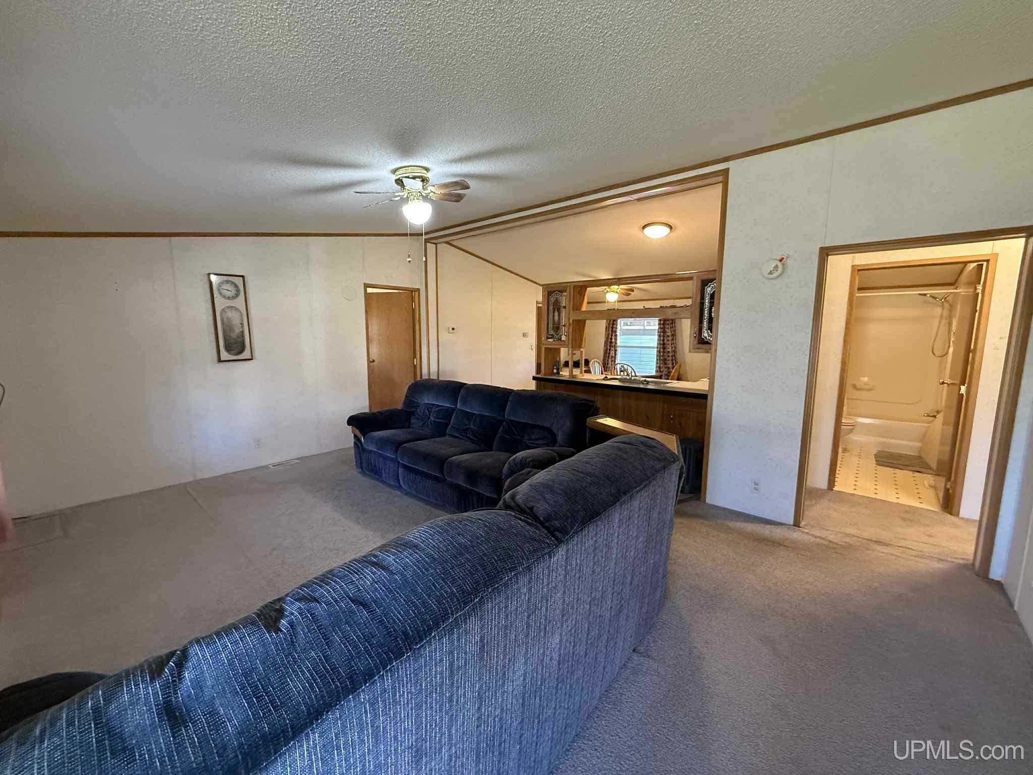 12534 Railroad Street Shingleton, MI 49884 - Photo 22 of 61