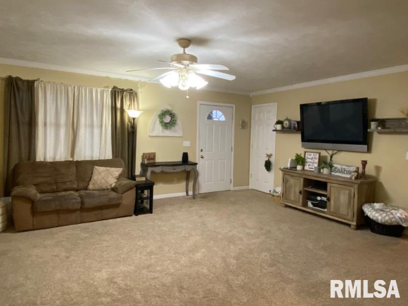 111 Pump Station Road Makanda, IL 62958 - Photo 7 of 16 Gallery Image 7