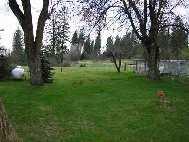 26623 North Yale Road Chattaroy, WA 99003 - Photo 9 of 9