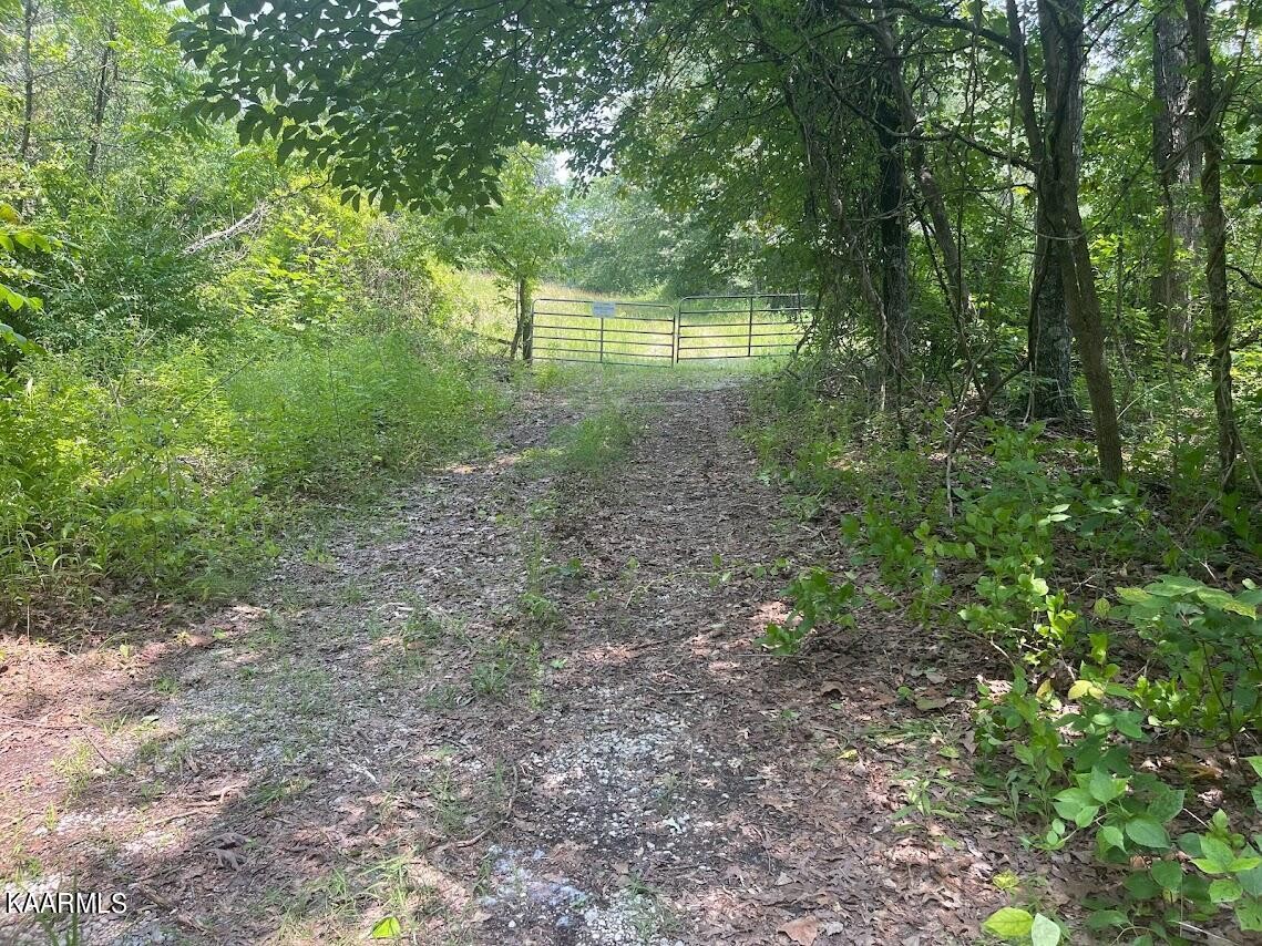 0 Plateau Firetower Road Crossville, TN 38571 - Photo 1 of 14 Gallery Image 1