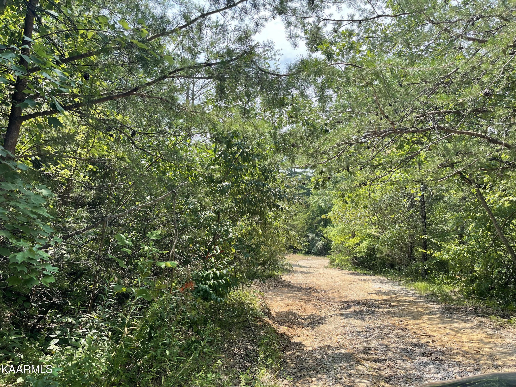 0 Plateau Firetower Road Crossville, TN 38571 - Photo 7 of 14 Gallery Image 7