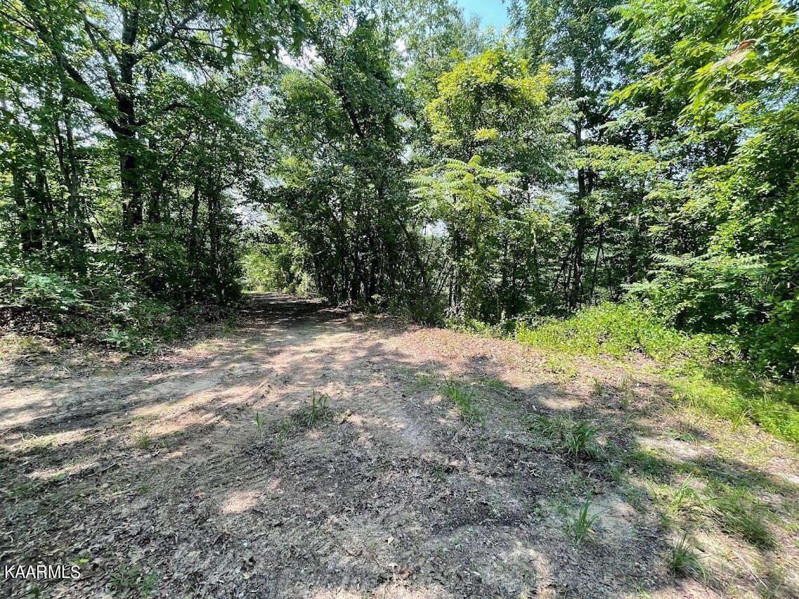 0 Plateau Firetower Road Crossville, TN 38571 - Photo 10 of 14 Gallery Image 10
