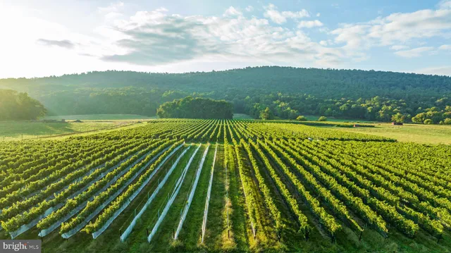 $6,900,000 | 14727 Mountain Road, Purcellville, VA 20132