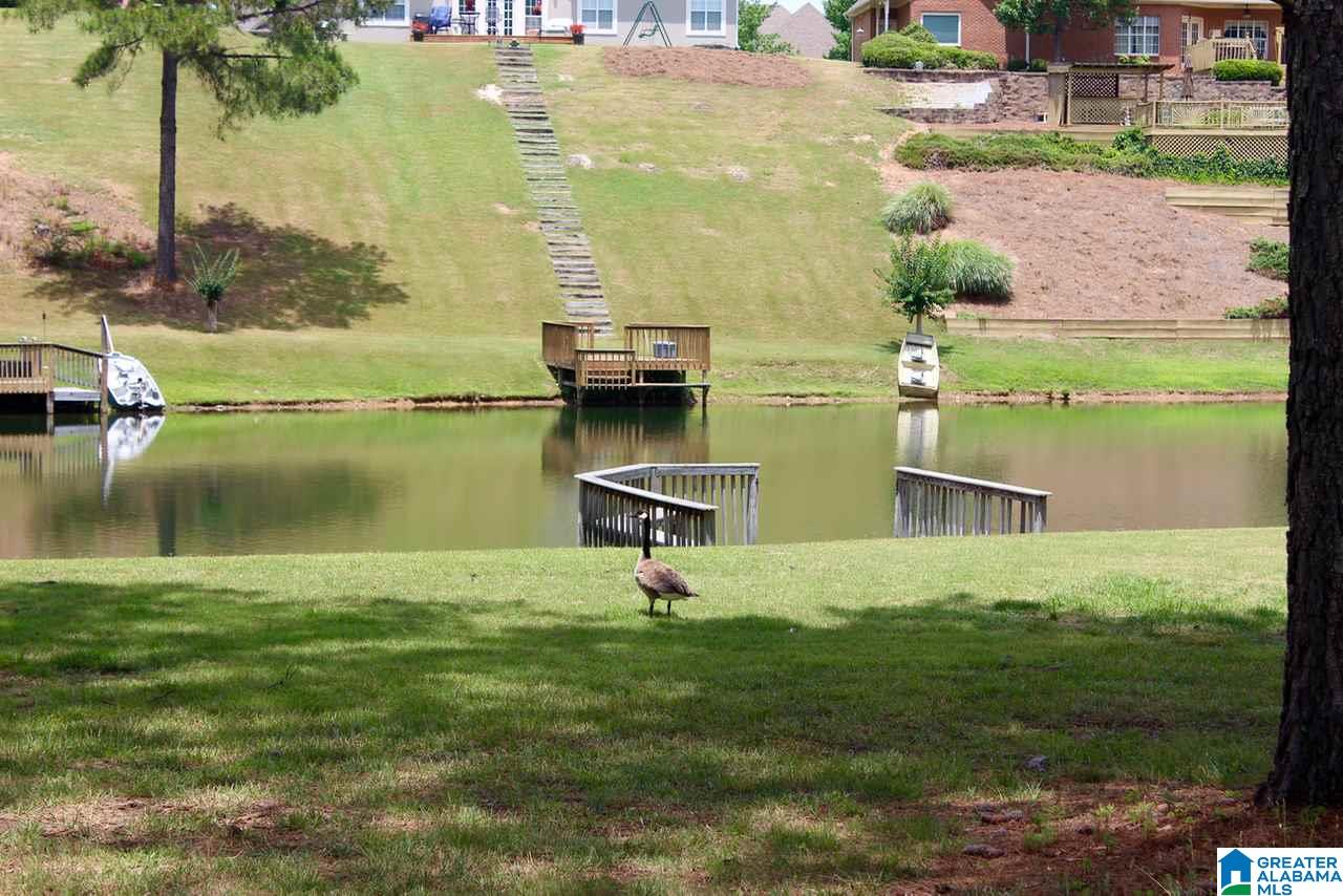 158 Windsor Lane Pelham, AL 35124 - Photo 21 of 45