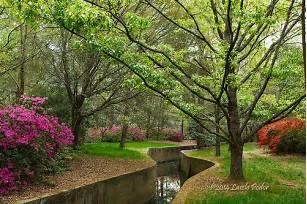 716 Kilarney Road Summerville, SC 29483 - Photo 49 of 50 Summerville's Beautiful Azalea Park - 7