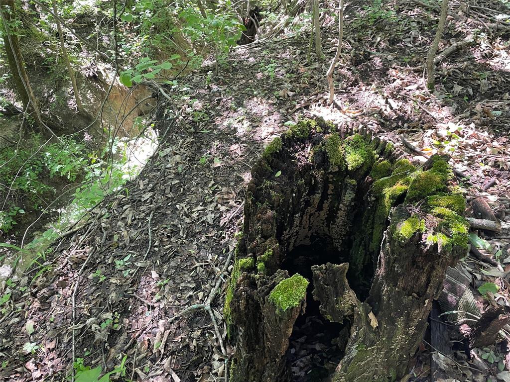 1 Key Road Sherman, TX 75090 - Photo 12 of 20 a backyard of a house with lots of trees