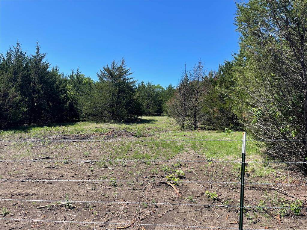 1 Key Road Sherman, TX 75090 - Photo 16 of 20 a view of a yard with trees in the background