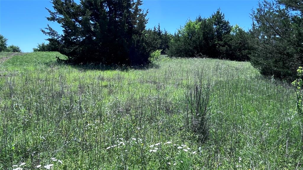 1 Key Road Sherman, TX 75090 - Photo 18 of 20 a view of outdoor space and yard