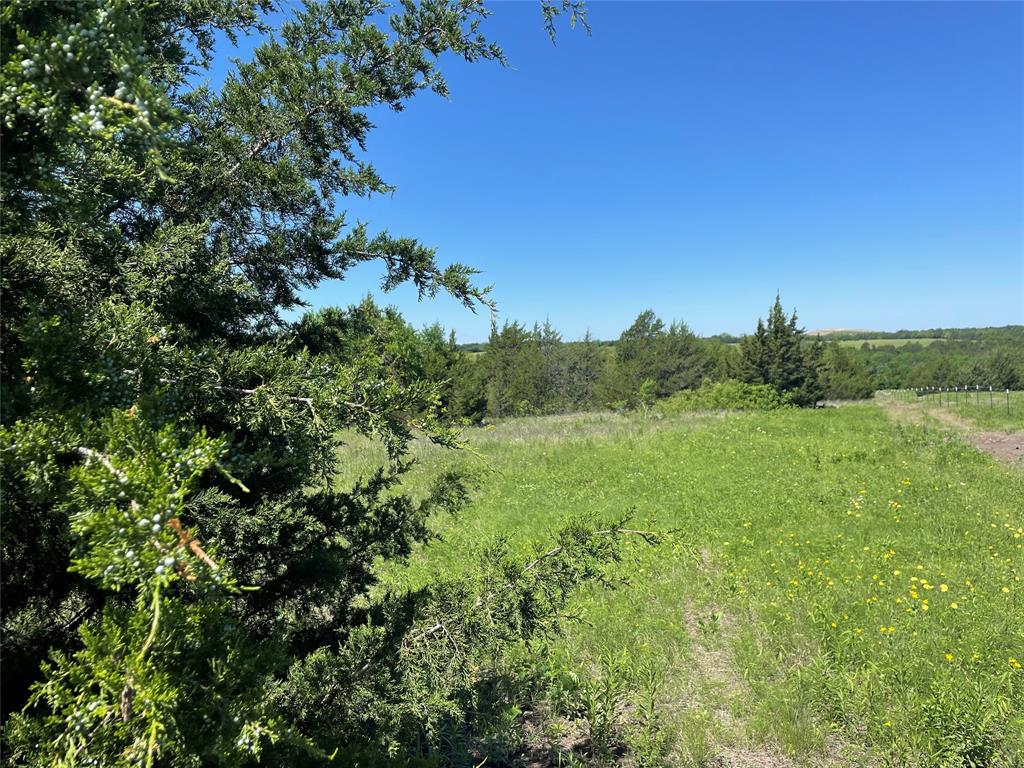 1 Key Road Sherman, TX 75090 - Photo 2 of 20 a view of a lush green space