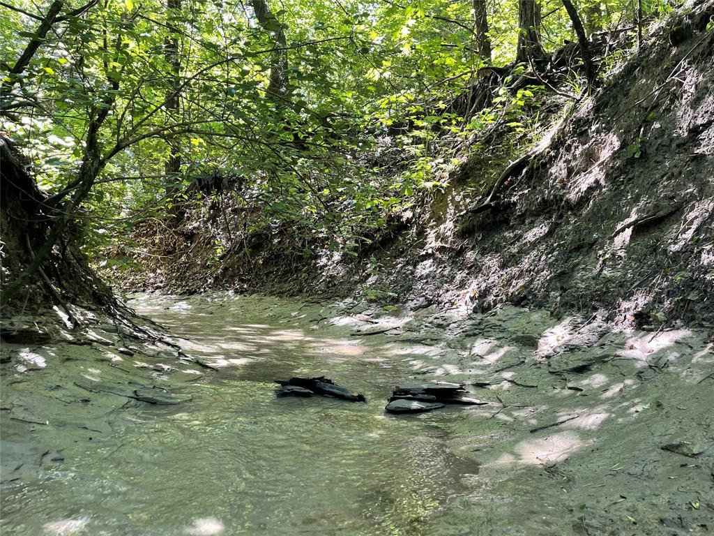 1 Key Road Sherman, TX 75090 - Photo 4 of 20 a view of a tree in a yard