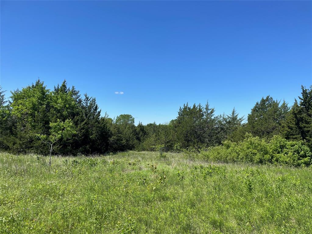 1 Key Road Sherman, TX 75090 - Photo 6 of 20 a view of a green field with plants