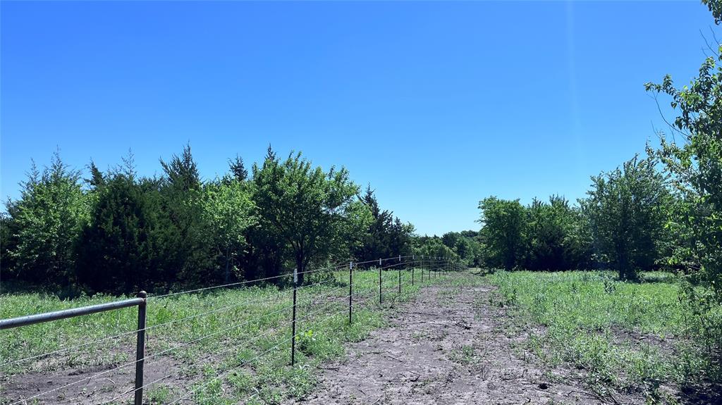 1 Key Road Sherman, TX 75090 - Photo 7 of 20 a view of a backyard with large trees