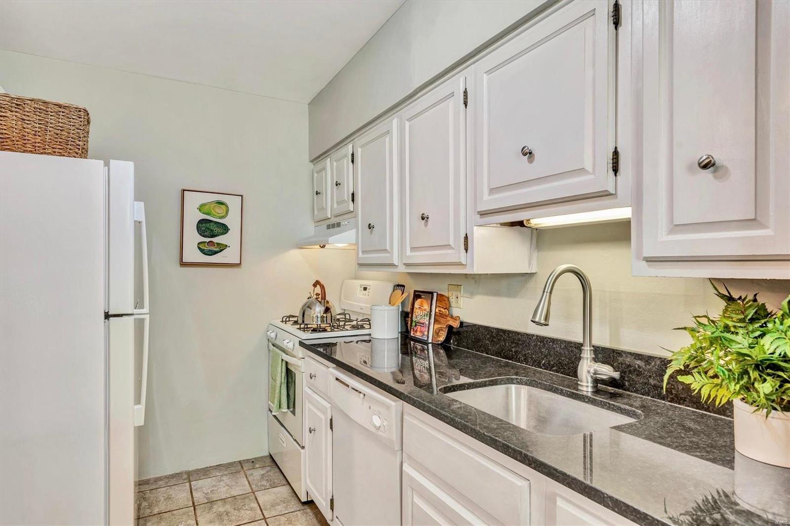 201 East Jackson Road Webster Groves, MO 63119 - Photo 8 of 42