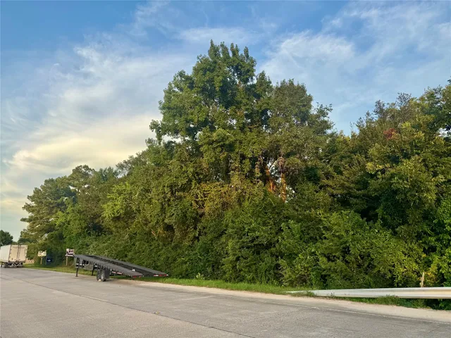 a green field with trees in the background