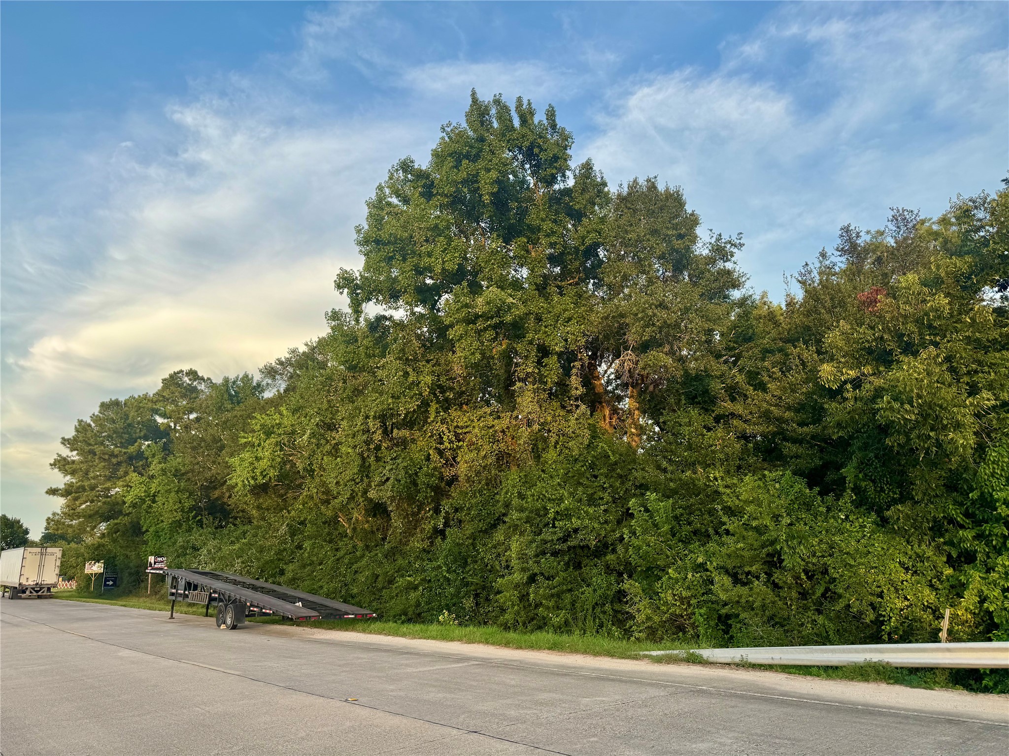 a green field with trees in the background