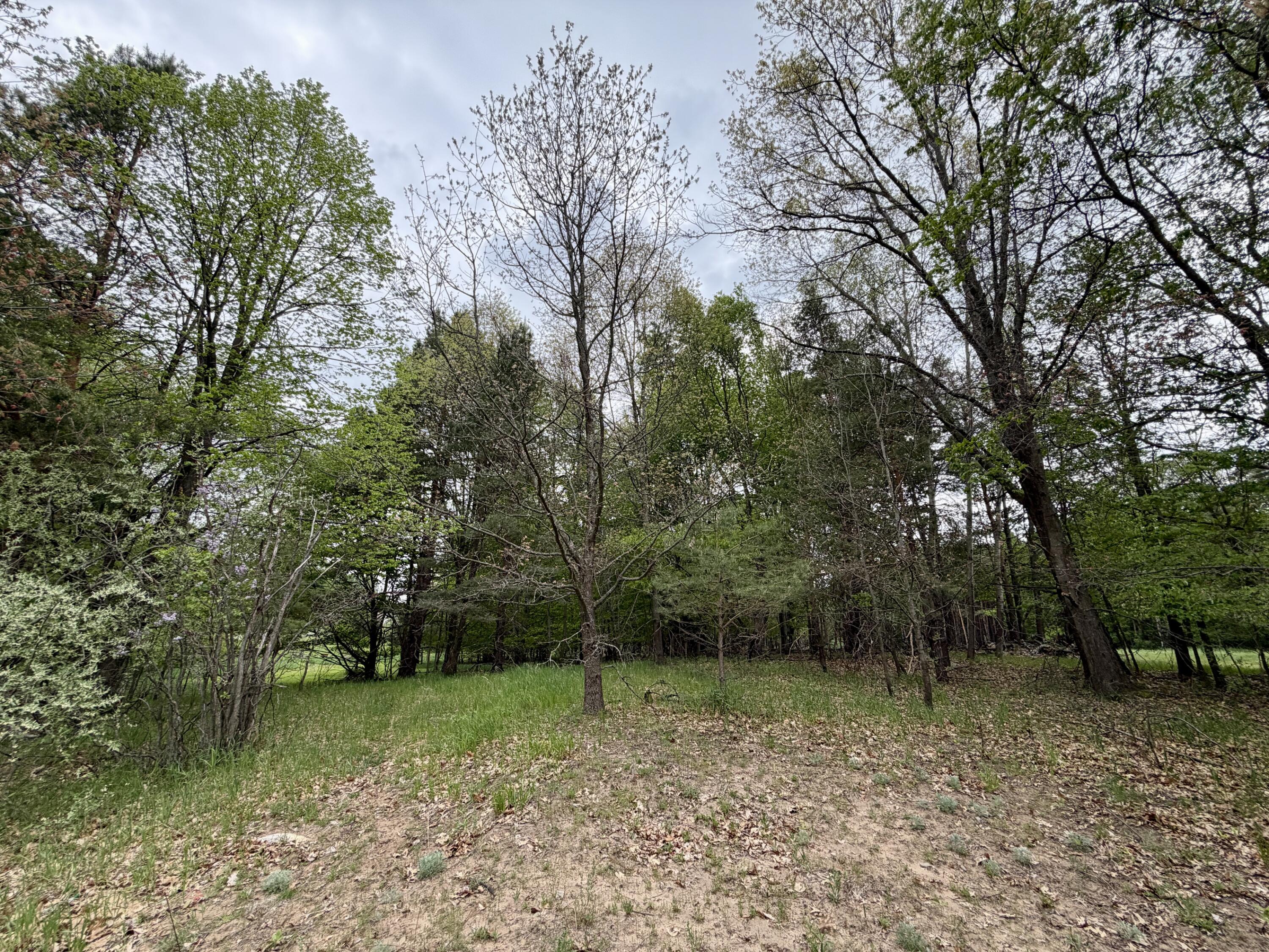 9435 East Garfield Road Hesperia, MI 49421 - Photo 31 of 36 IMG_0484