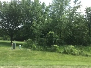 a view of outdoor space and yard
