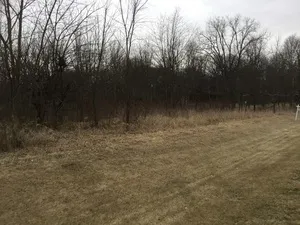 $36,000 | Lot 4 Williams Circle, Genoa, IL 60135