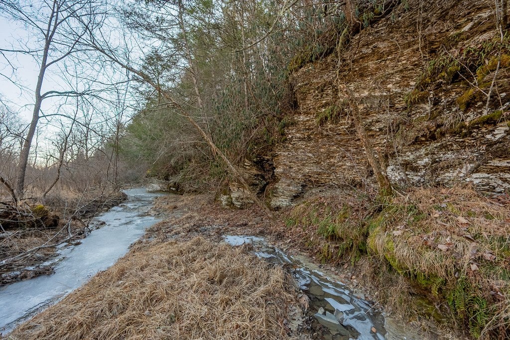Tbd Kimberling Road, Unit 10A 10B2 Bland, VA 24315 - Photo 8 of 72 Gallery Image 8