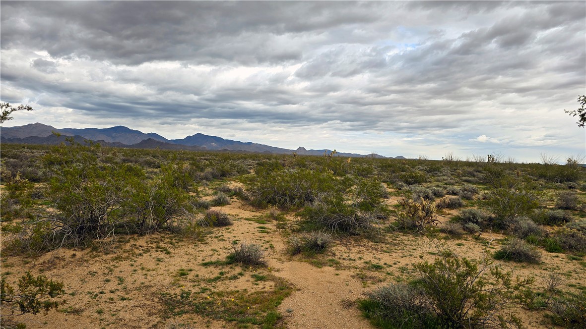586 South Gene Autry Road Yucca, AZ 86438 - Photo 11 of 11 View