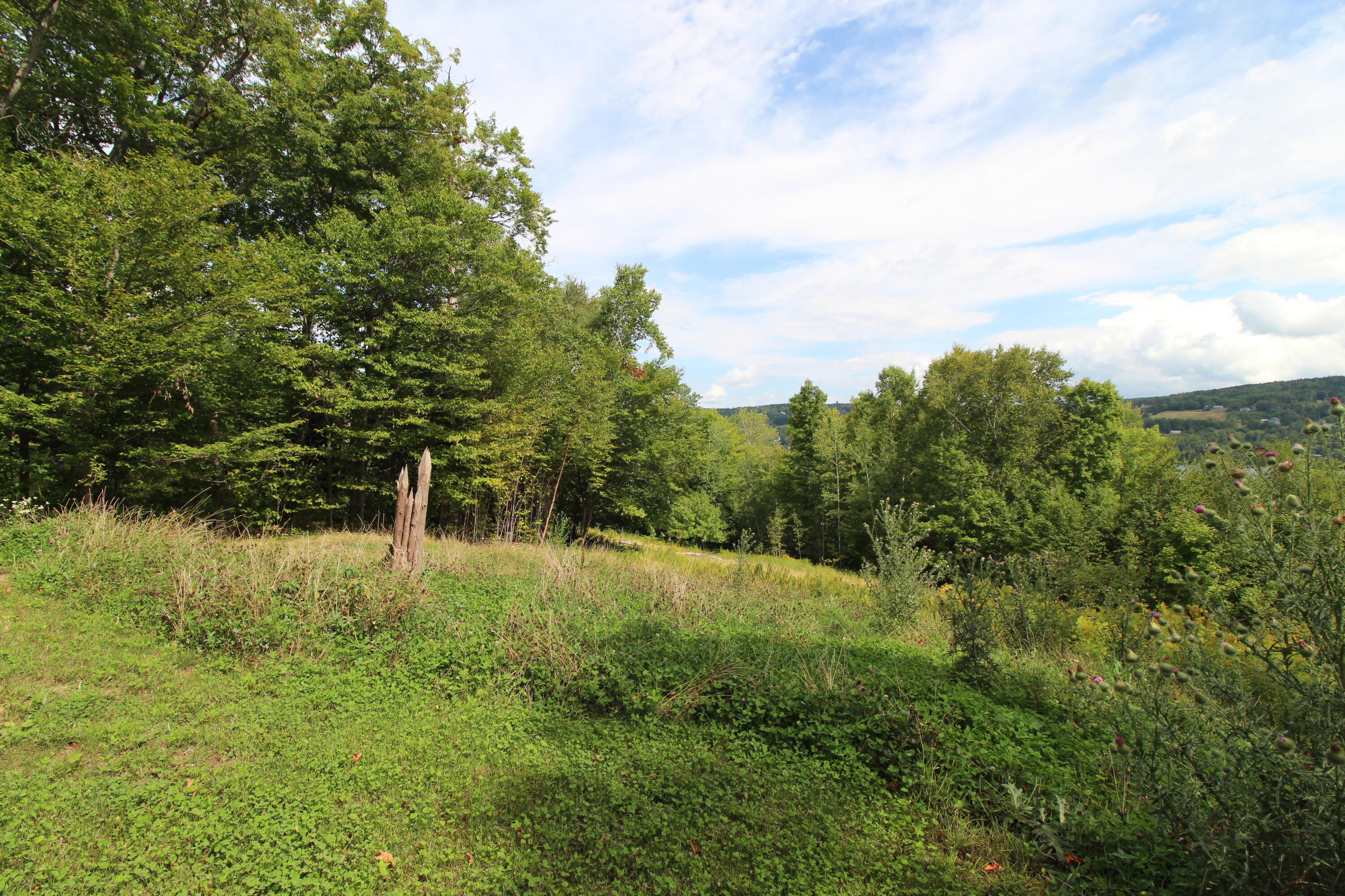 19 Curley Road Rangeley, ME 04970 - Photo 39 of 56 IMG_6230