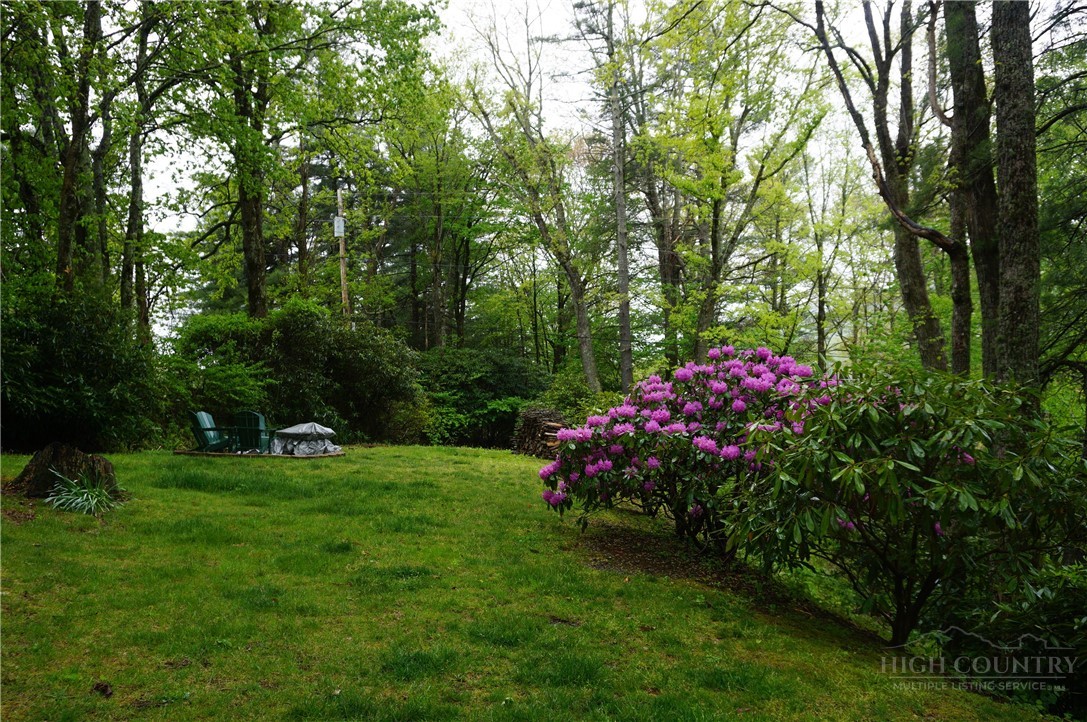 557 White Pine Road Newland, NC 28657 - Photo 35 of 41 a view of a garden with flowers and trees