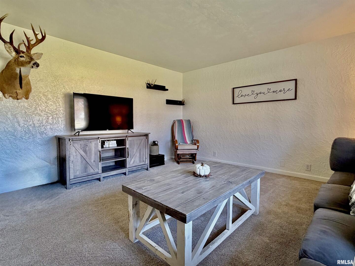 315 Hosselton Street Southwest Clay City, IL 62824 - Photo 9 of 70 a living room with furniture and a flat screen tv