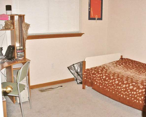 18004 North Addison Court Colbert, WA 99005 - Photo 9 of 9