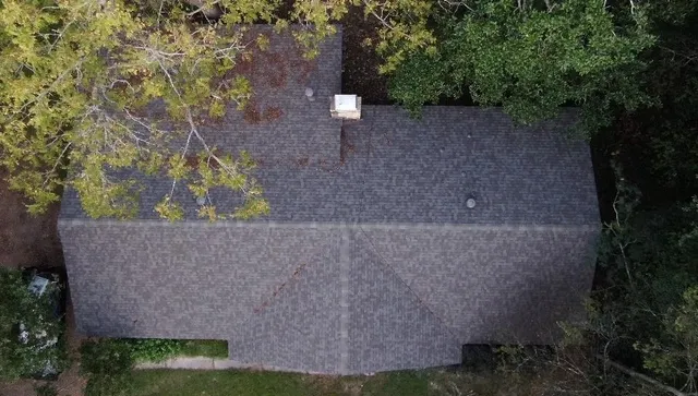 a view of a forest with trees in the background