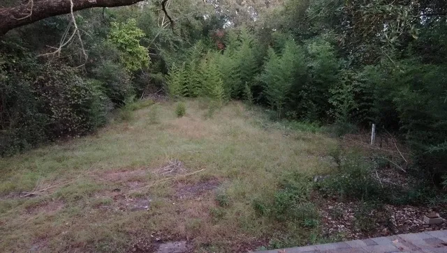 $225,000 | 805 South Bradford Street, Overton, TX 75684