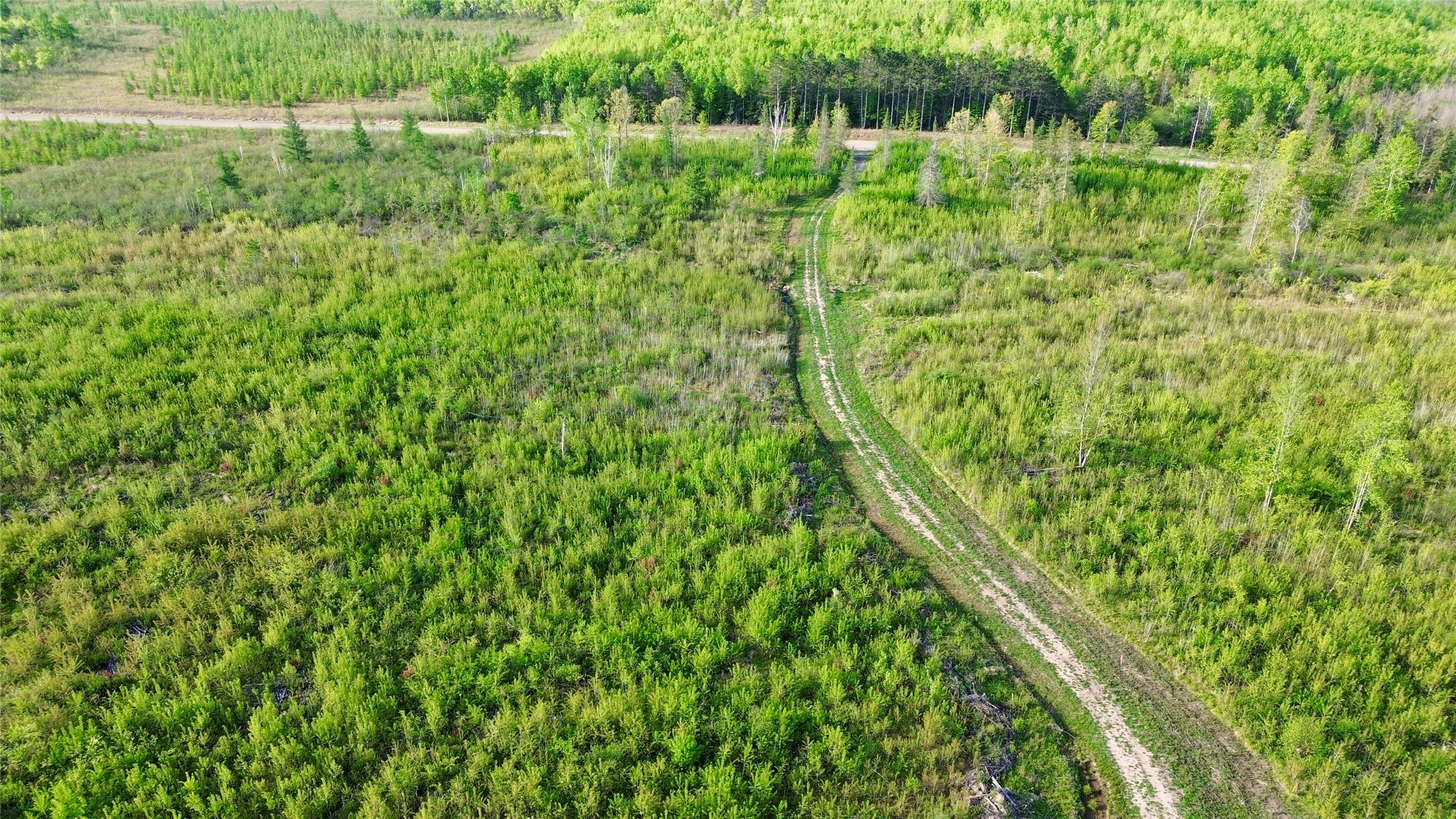 Lot 2 Girod Road Ladysmith, WI 54848 - Photo 16 of 26