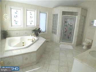 25 West Golf View Road Havertown, PA 19083 - Photo 10 of 12 Bathroom