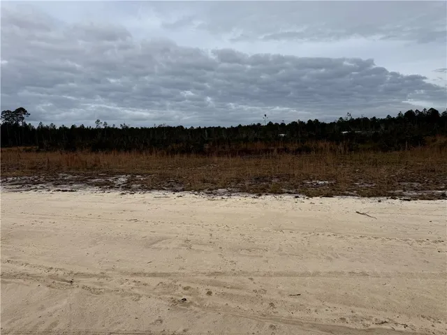$27,500 | Lot 7 Wiregrass Lane, Unit 7, Waycross, GA 31503