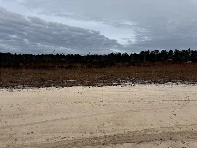 $27,500 | Lot 7 Wiregrass Lane, Unit 7, Waycross, GA 31503