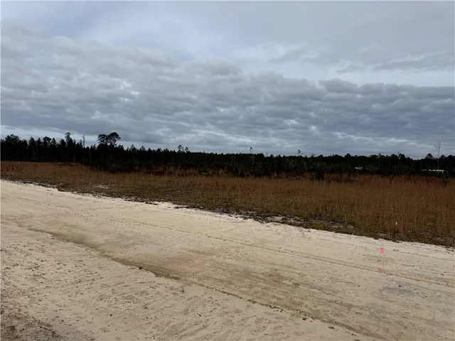 $27,500 | Lot 7 Wiregrass Lane, Unit 7, Waycross, GA 31503