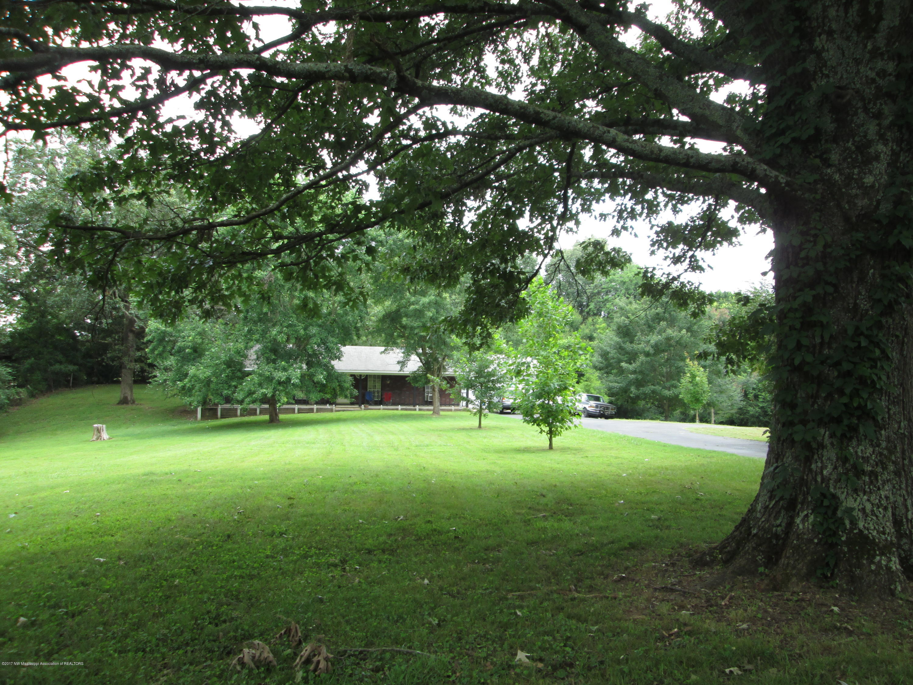 9741 Bethel Road Olive Branch, MS 38654 - Photo 21 of 23 IMG_0579