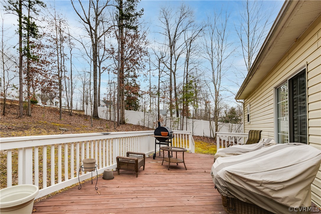 14706 Clover Ridge Lane Chesterfield, VA 23832 - Photo 34 of 40