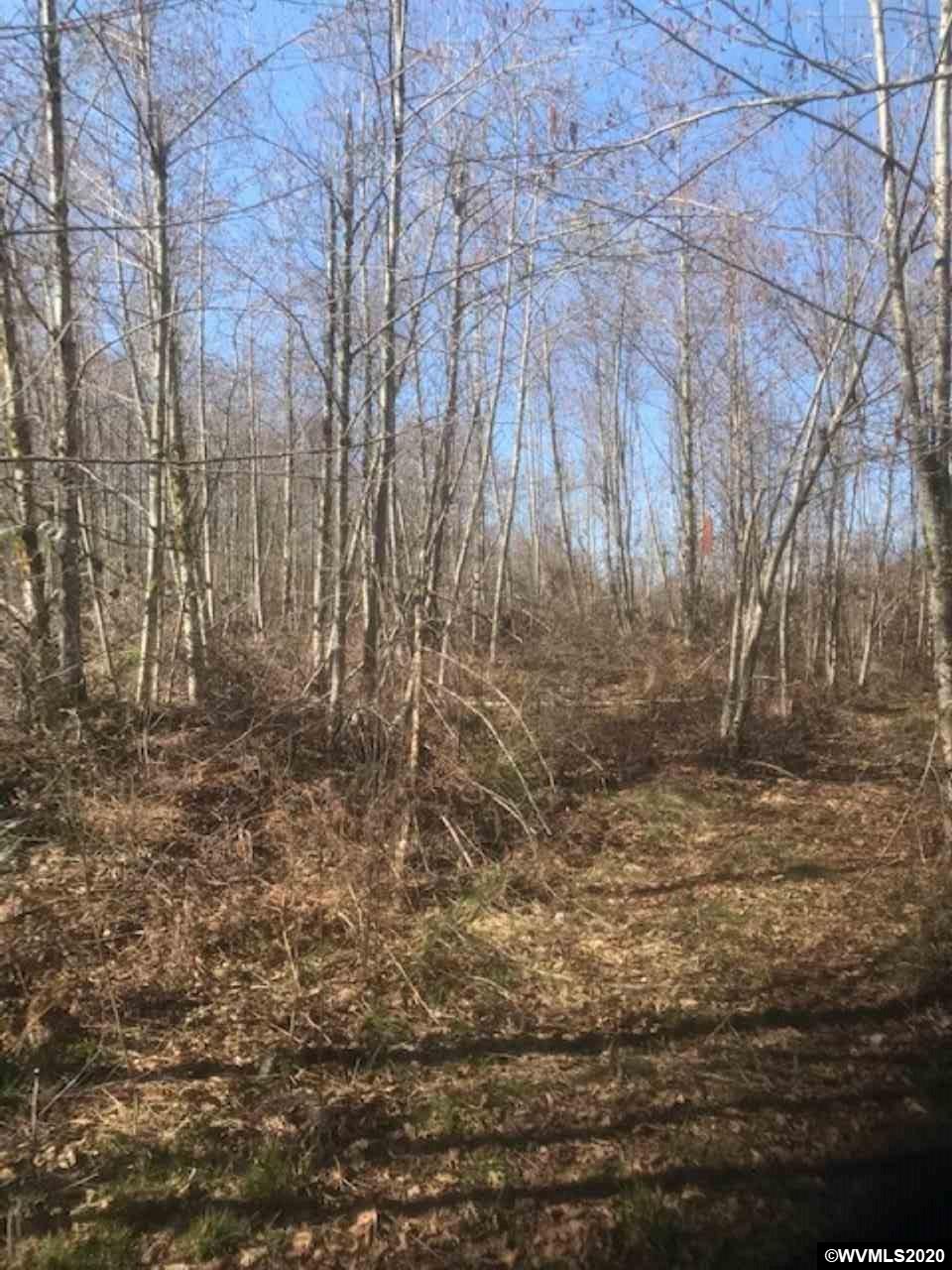 Northwest Smoke Ranch Road Scappoose, OR 97056 - Photo 2 of 10
