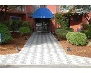 a view of backyard with table and chairs and potted plants
