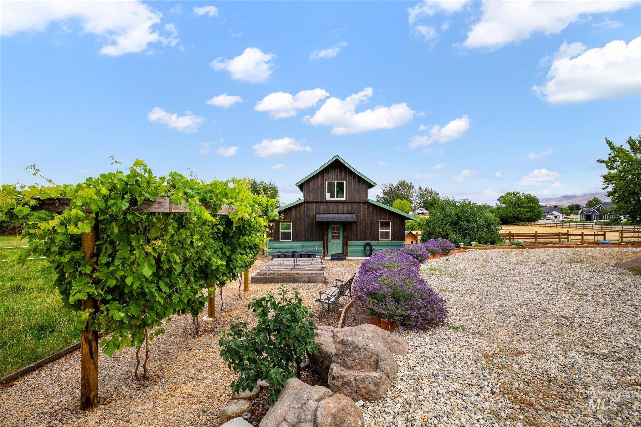 1140 Edgemont Road Emmett, ID 83617 - Photo 45 of 50 Vineyard rows featuring lush green foliage